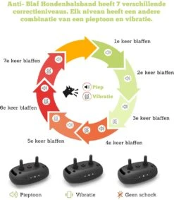 Doggie™ Anti Blafband - Diervriendelijk - GEEN Schok - Anti Blafband - Hondenhalsband 9 Doggie™ Anti Blafband - Diervriendelijk - GEEN Schok - Anti Blafband - Hondenhalsband -Hond Benodigdheden 1048x1200