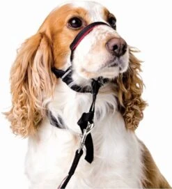 Halti OptiFit Headcollar - Hond - Anti Trekhalsband - Maat M - Voor Labrador, Boxer, Dobermann, Golden Retriever -Hond Benodigdheden 1092x1200 2