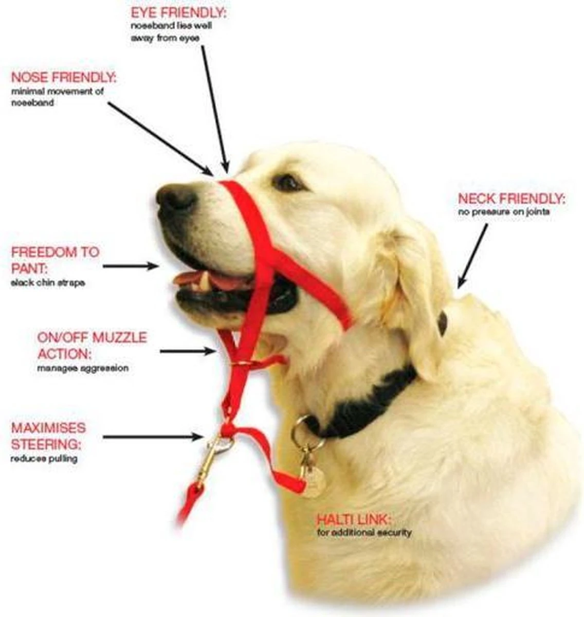 Halti Headcollar - Maat 2 2 Halti Headcollar - Maat 2 - Afbeelding 2
