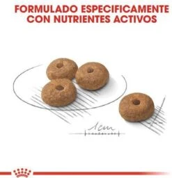 Royal Canin Ccn Sterilised Mini - Hondenvoer - 3 Kg -Hond Benodigdheden 1158x1200 1