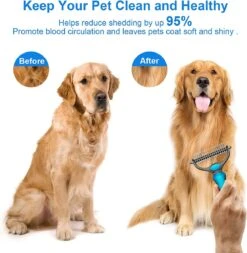 Igoods Professionele 2-Zijdige Ondervacht Kam Voor Hond En Kat - Hondenborstel – Kattenborstel 10 Igoods Professionele 2-Zijdige Ondervacht Kam Voor Hond En Kat - Hondenborstel – Kattenborstel -Hond Benodigdheden 1172x1200 2