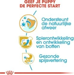 Royal Canin Rottweiler Junior 12 KG -Hond Benodigdheden 1186x1200