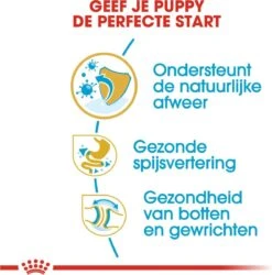 Royal Canin Bulldog - Puppy-Hondenvoer - 12 Kg -Hond Benodigdheden 1186x1200 3