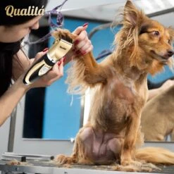 Merkloos Professionele Honden Tondeuse Set - Tondeuse Voor Huisdier Honden En Katten - Hondentrimmer - Hondentondeuse -Hond Benodigdheden 1198x1200 5