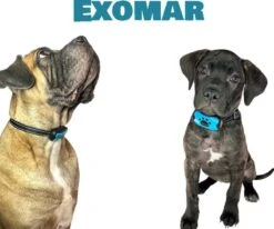 Exomar® Anti Blafband Voor Honden Blafband Anti Blaf Apparaat Blafband Zonder Schok - Diervriendelijk 13 Exomar® Anti Blafband Voor Honden Blafband Anti Blaf Apparaat Blafband Zonder Schok - Diervriendelijk -Hond Benodigdheden 1200x1003 2