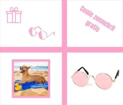 Pepets© – Hondenhanddoek – Honden Handdoek – Microvezel Handdoek – Handdoek Hond – Hondendeken – Droogdoek Hond – Dierendeken – Absorberend – 100*50CM - Beige - GRATIS Zonnebril -Hond Benodigdheden 1200x1018