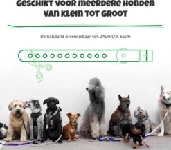 Anti Blafband Met Afstandsbediening - Blafband Voor Honden - Anti Blaf Apparaat Zonder Schok - Twee In Een Trainingshalsband -Hond Benodigdheden 1200x1055