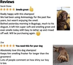 Bugalugs - Hondenshampoo - One In A Million - Alle Vachttypes - Fles Met Pompje - Vegan - 500 Ml -Hond Benodigdheden 1200x1061