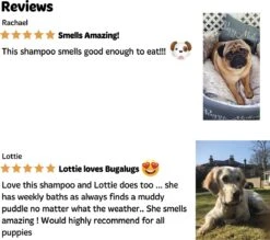 Bugalugs - Hondenshampoo - One In A Million - Alle Vachttypes - Fles Met Pompje - Vegan - 500 Ml -Hond Benodigdheden 1200x1066