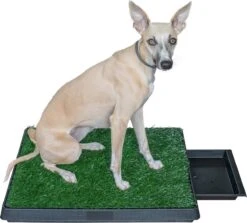 Adori Trainingsmat Gras - Hondentoilet - 50x63 Cm Multi-Color -Hond Benodigdheden 1200x1082 2