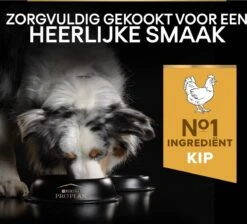 Pro Plan Medium Adult Everyay Nutrition - Honden Droogvoer - Kip - 14 Kg -Hond Benodigdheden 1200x1087 1