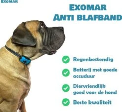 Exomar® Anti Blafband Voor Honden Blafband Anti Blaf Apparaat Blafband Zonder Schok - Diervriendelijk 10 Exomar® Anti Blafband Voor Honden Blafband Anti Blaf Apparaat Blafband Zonder Schok - Diervriendelijk -Hond Benodigdheden 1200x1101 7