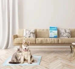 Nobleza 48DHD - Puppy Training Pads - 60 X 40 Cm - Zindelijkheidstraining - 50 Stuks -Hond Benodigdheden 1200x1105 3