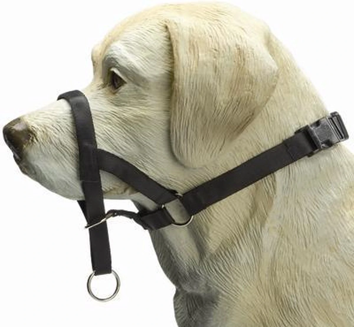 Beeztees Dog Control - Halsband Hond - Zwart - L 2 Beeztees Dog Control - Halsband Hond - Zwart - L - Afbeelding 2