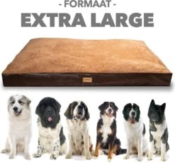 PrimePlus Hondenkussen XL Antraciet - 120x80x10 CM - Zacht En Luxe Hondenmand - Hondenbed - Hondenmat - Orthopedisch Hondenkussens -Hond Benodigdheden 1200x1112 2