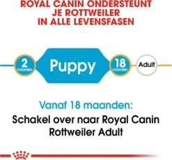 Royal Canin Rottweiler Junior 12 KG -Hond Benodigdheden 1200x1114 3