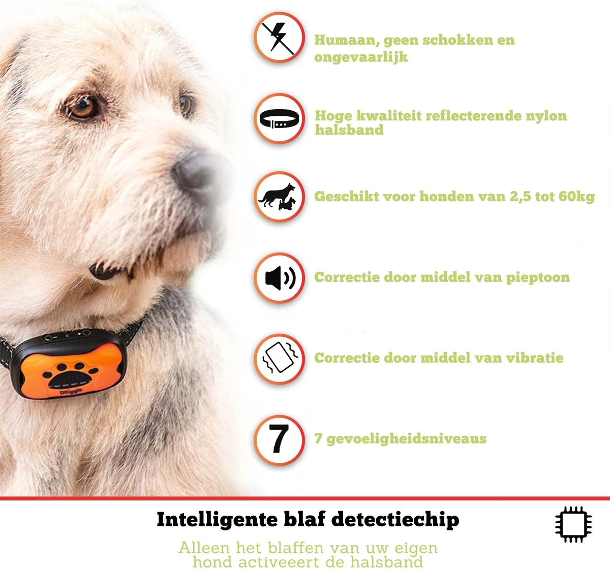 Doggie™ Anti Blafband - Diervriendelijk - GEEN Schok - Anti Blafband - Hondenhalsband 5 Doggie™ Anti Blafband - Diervriendelijk - GEEN Schok - Anti Blafband - Hondenhalsband - Afbeelding 5