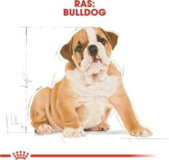 Royal Canin Bulldog - Puppy-Hondenvoer - 12 Kg -Hond Benodigdheden 1200x1135 4