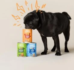 Edgard & Cooper Kip & Kalkoen Blik - Voor Volwassen Honden - Hondenvoer - 12 X 400g -Hond Benodigdheden 1200x1138