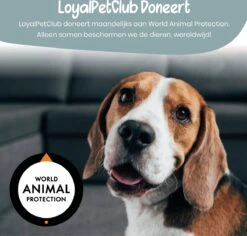 Loyalpetclub® Professionele 2-in-1 Hondentondeuse Voor Dikke Vacht – Draadloze Honden Tondeuse & Hondentrimmer – Stille Tondeuse Katten & Honden Trimset - Inclusief Opbergtasje -Hond Benodigdheden 1200x1148 2