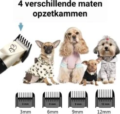 Merkloos Professionele Dierentondeuse - Scheerapparaat Voor Honden En Katten - Trimmer - 4 Opzetstukken - Oplaadbaar - Draadloos - Stil - Verschillende Haar En Vachtlengtes - Haartrimmer - Hondentrimmer - Honden Trimmer - Honden Knippen - Haren Knippen -Hond Benodigdheden 1200x1148 3
