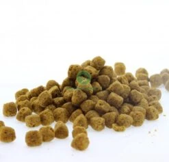 Royal Canin Gastro Intestinal Low Fat - Hondenvoer - 12 Kg -Hond Benodigdheden 1200x1152 3