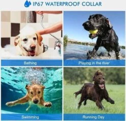 Anti Blafband EN Trainingshalsband In 1 - UNIEK SYSTEEM - 1000m Bereik - 100 Levels 21 Anti Blafband EN Trainingshalsband In 1 - UNIEK SYSTEEM - 1000m Bereik - 100 Levels -Hond Benodigdheden 1200x1154 4