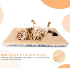 Nobleza Fluffy Benchkussen - Dierenkussen - Hondenkussen - Kattenkussen - Benchmat - Dierenmat - Hondenmat - Kattenmat - Crème - Maat L -Hond Benodigdheden 1200x1156 3