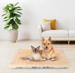 Nobleza Fluffy Benchkussen - Dierenkussen - Hondenkussen - Kattenkussen - Benchmat - Dierenmat - Hondenmat - Kattenmat - Crème - Maat L -Hond Benodigdheden 1200x1156 4