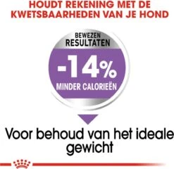 Royal Canin Ccn Sterilised Mini - Hondenvoer - 3 Kg -Hond Benodigdheden 1200x1168 2