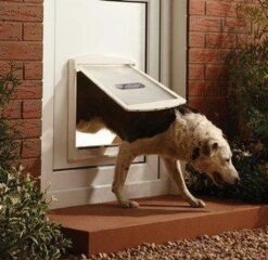 Petsafe 760 Hondenluik - L - Wit - 37 X 31,4 Cm 22 Petsafe 760 Hondenluik - L - Wit - 37 X 31,4 Cm -Hond Benodigdheden 1200x1168 7