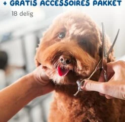 Pawwy Dieren Tondeuse Set Draadloos Voor Honden En Katten – Voor Dikke Vacht - Hondentondeuse – Hondentrimmer - Scheerapparaat - Goud -Hond Benodigdheden 1200x1170 2