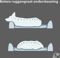 PETKIT® Four Season - Hondenmand - Kattenmand - Wasbaar - Memory Foam - Maat L -Hond Benodigdheden 1200x1175 2