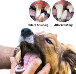 Doodadeals® 4 Stuks Siliconen Honden Tandenborstel - Tanden Borstel Hond - Silicone Dog Tootbrush - Multikleur -Hond Benodigdheden 1200x1175 4