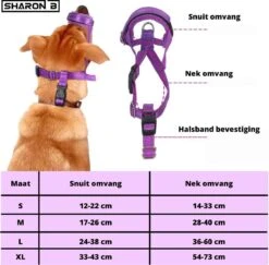 Sharon-B Muilkorf Turquoise Maat S - Fleece - Reflecterend - Kleine Hond -Hond Benodigdheden 1200x1179 3