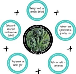 Greenfields Vacht Verzorging Set Voor Honden Shampoo, Conditioner & Droogshampoo -Hond Benodigdheden 1200x1182 2