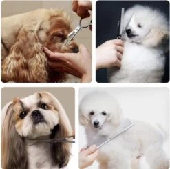 VoordeelShop 7-Delige Huisdier Knipset Met Etui - Trimmen Hond - Honden Schaar - Effileerschaar Hond - Huisdier Trimmer - Huisdier Knippen - Knipschaar Haar - Haar Schaar - Kapper - Kapperset - Scharenset -Hond Benodigdheden 1200x1190 4
