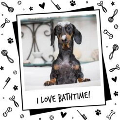 Bugalugs - Hondenshampoo - One In A Million - Alle Vachttypes - Fles Met Pompje - Vegan - 500 Ml -Hond Benodigdheden 1200x1196 4