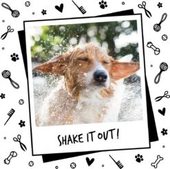 Bugalugs - Hondenshampoo - One In A Million - Alle Vachttypes - Fles Met Pompje - Vegan - 500 Ml -Hond Benodigdheden 1200x1197 4