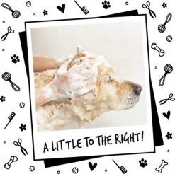 Bugalugs - Hondenshampoo - One In A Million - Alle Vachttypes - Fles Met Pompje - Vegan - 500 Ml -Hond Benodigdheden 1200x1197 6