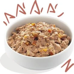 11x Edgard & Cooper Kuipje Vers Vlees Senior Hondenvoer Kip - Zalm 150 Gr -Hond Benodigdheden 1200x1198 12