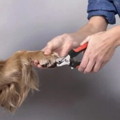 Merkloos Professionele Nagelschaar - Dieren Nagelschaar - Rood & Zwart - Honden Nagelknipper - Hondennagels - Honden Knip Schaar - Honden Knipsch -Hond Benodigdheden 1200x1198 2