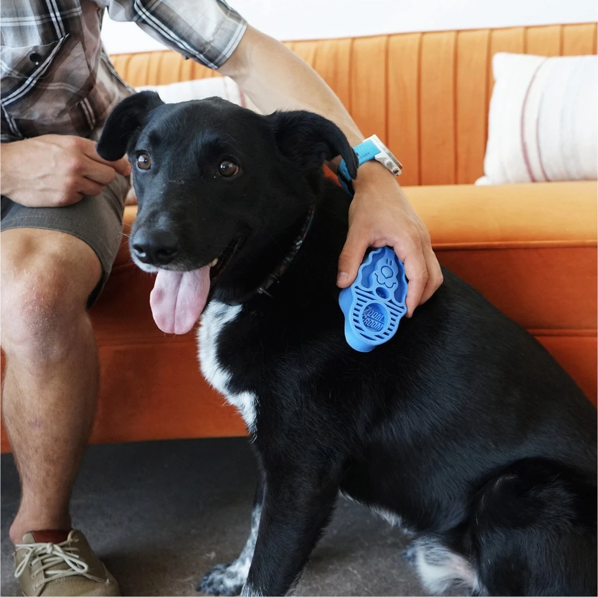 Kong Zoom Groom Hond 4 Kong Zoom Groom Hond - Afbeelding 4