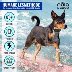 Nola & Coco® Oplaadbare Anti Blafband - 4 Kleuren - Zonder Schok - Waterdichte Diervriendelijke Blaf Halsband - Opvoedingshalsband - Voor Grote En Kleine Honden - Lichte Vibratie En Geluid - 3 Tot 60kg -Hond Benodigdheden 1200x1200 1008