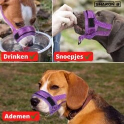 Sharon-B Muilkorf Turquoise Maat S - Fleece - Reflecterend - Kleine Hond -Hond Benodigdheden 1200x1200 1032