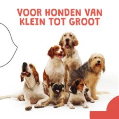 JC Pets Ultrasone Anti Blaf Apparaat Voor Kleine En Grote Honden - Oplaadbaar - Alternatief Anti Blafband Voor Honden - Diervriendelijk & Zonder Schok -Hond Benodigdheden 1200x1200 1046
