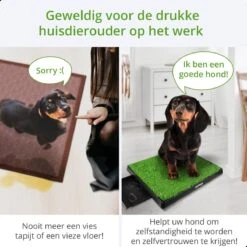 AWEMOZ Hondentoilet Kunstgras - Met 2 Matten En Opvangbak - 64x52x7,5cm - Puppy Pads - Zindelijkheidstraining Hond - Training Pads - Indoor / Outdoor Honden Toilet 13 AWEMOZ Hondentoilet Kunstgras - Met 2 Matten En Opvangbak - 64x52x7,5cm - Puppy Pads - Zindelijkheidstraining Hond - Training Pads - Indoor / Outdoor Honden Toilet -Hond Benodigdheden 1200x1200 1058