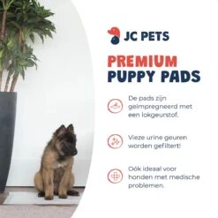JC Pets Premium Puppy Training Pads - Hondentoilet - Zindelijkheidstraining Hond - 50 Stuks - 60 X 45 Cm -Hond Benodigdheden 1200x1200 1096