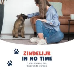 JC Pets Premium Puppy Training Pads - Hondentoilet - Zindelijkheidstraining Hond - 50 Stuks - 60 X 45 Cm -Hond Benodigdheden 1200x1200 1097