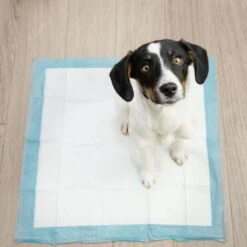 Springos Puppy Training Pads| Plasmatjes Hond | Zindelijkheidstraining | 10 Stuks | 35 X 45 Cm -Hond Benodigdheden 1200x1200 1101